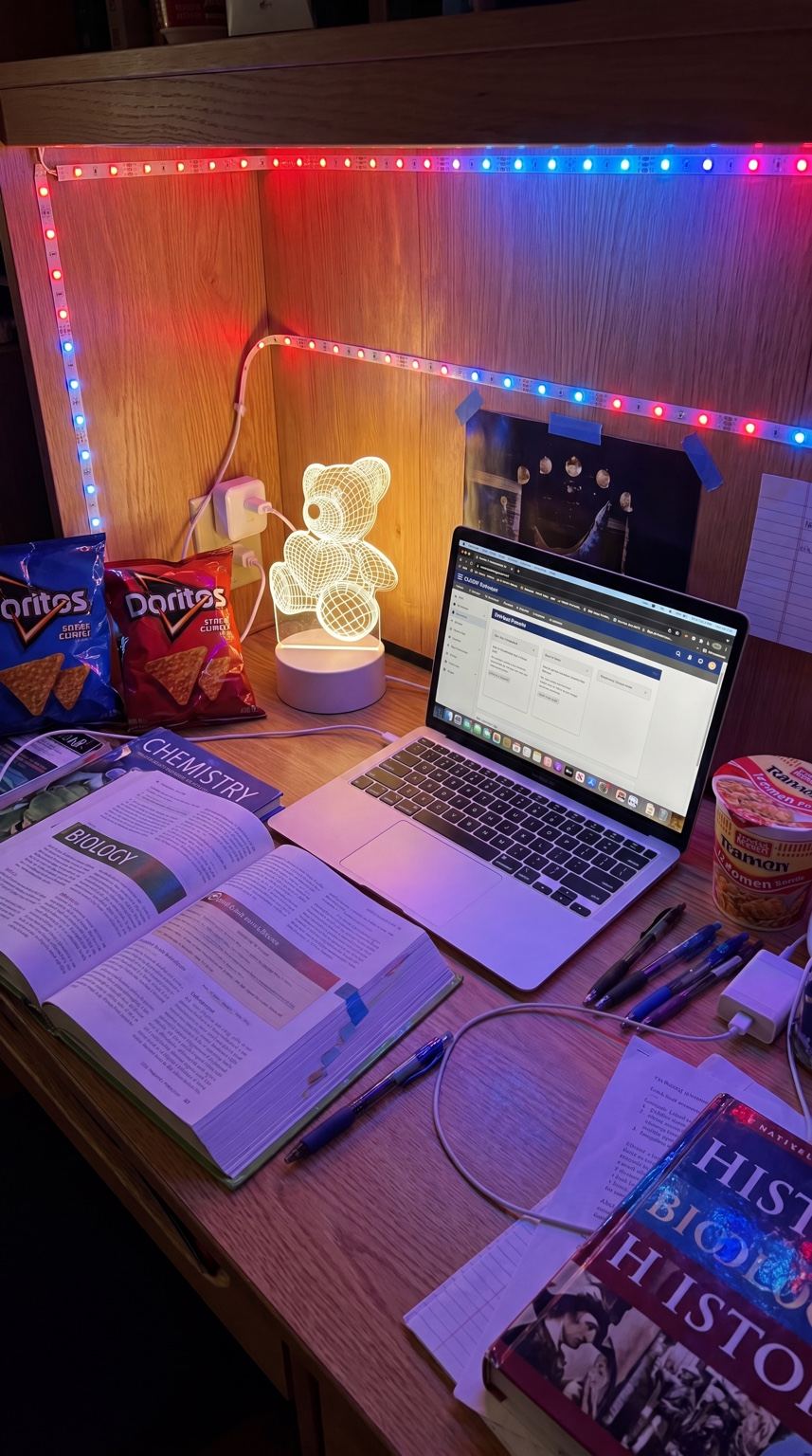Teddy Bear Night Light — Handmade by Bruce