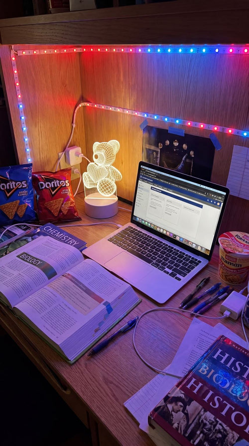 Teddy Bear Night Light — Handmade by Bruce